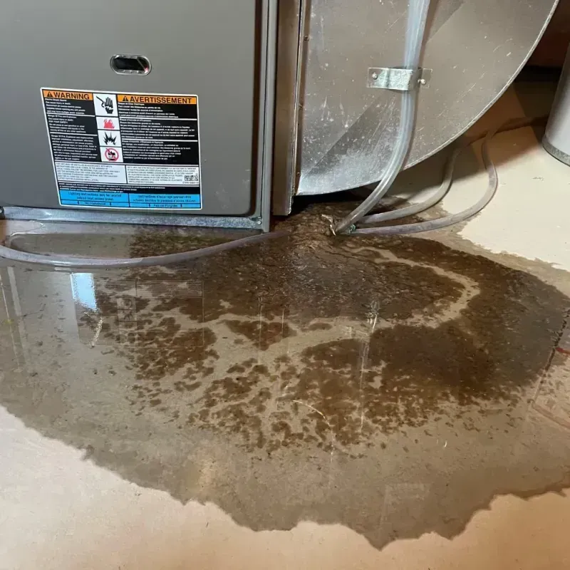 Appliance Leak Cleanup in Bowdon, GA